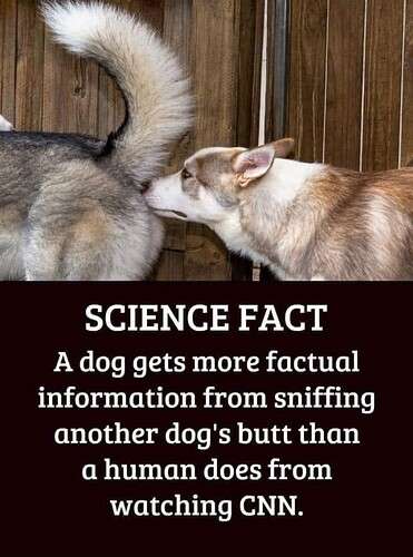 943312405d97659b383cba102ff200c6908280cd_2_371x500.