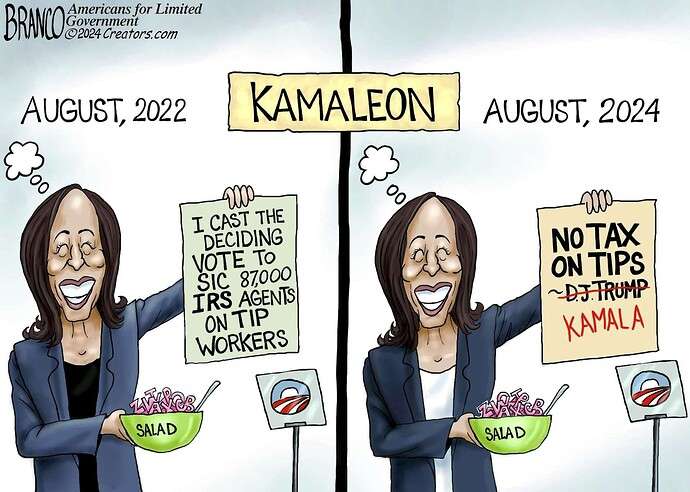 9655a17aea2e877ba8356eea2c7a04b0d47403fb_2_690x492.