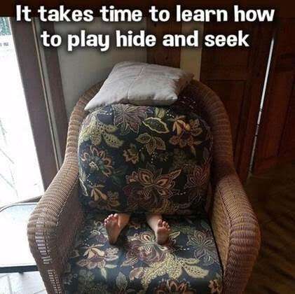 9740f47fed30e5f2d9c225c4283004f8bfde22bd.