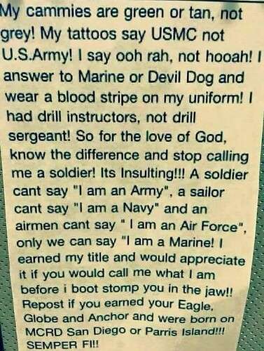 994b72ee2ab4f3cdf0507731384946a416ee1fe7_2_377x500.