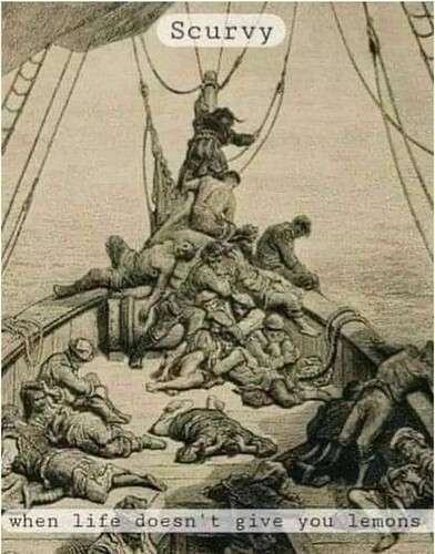 9be8b14f40ba10877e5b518f8fce7ee2974b5f59_2_392x500.