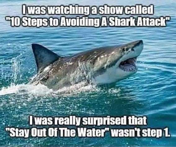 __7d9bccdd5299325b49247b051204242e.