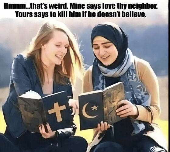 a1c25c184b483d6399dfcd9f7b38843a37880da3_2_559x500.