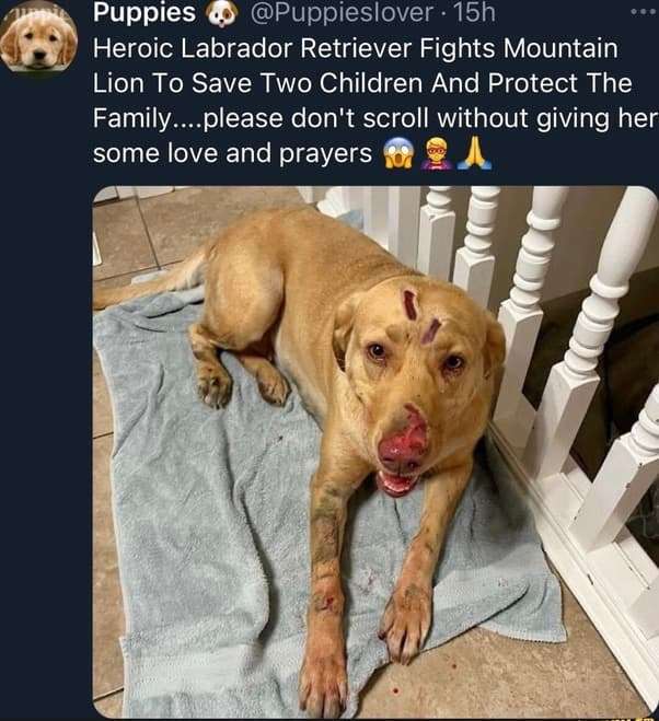 a3314620a00396ff482429e8b234465079771110.