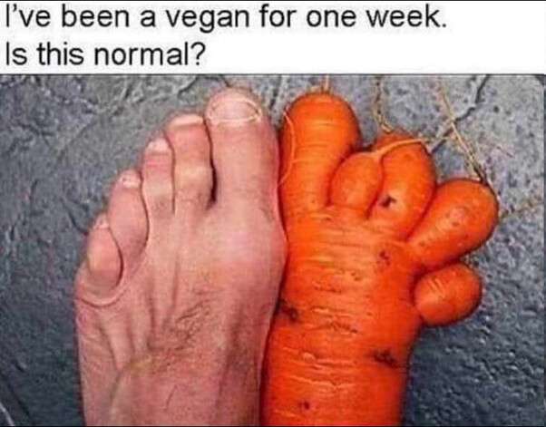 a5435b6f0a32f82a108d20c7a2dbbdbba1eae8af.