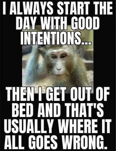 a99114a6921bc2768e80b911767706efa22d0d36_2_386x500.