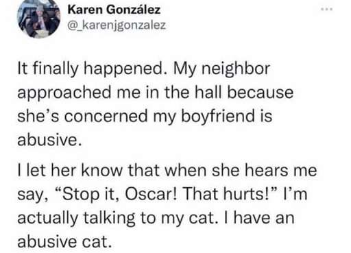 Abusive-cat.