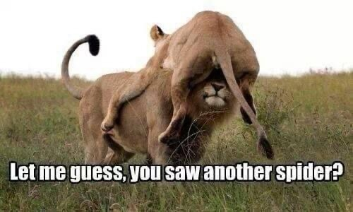 ad6cdf89-ab40-49a2-8627-818af741cb63.