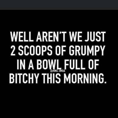 ae4f142e97a9d937b7c8896ed29bccd8d3832434_2_502x500.