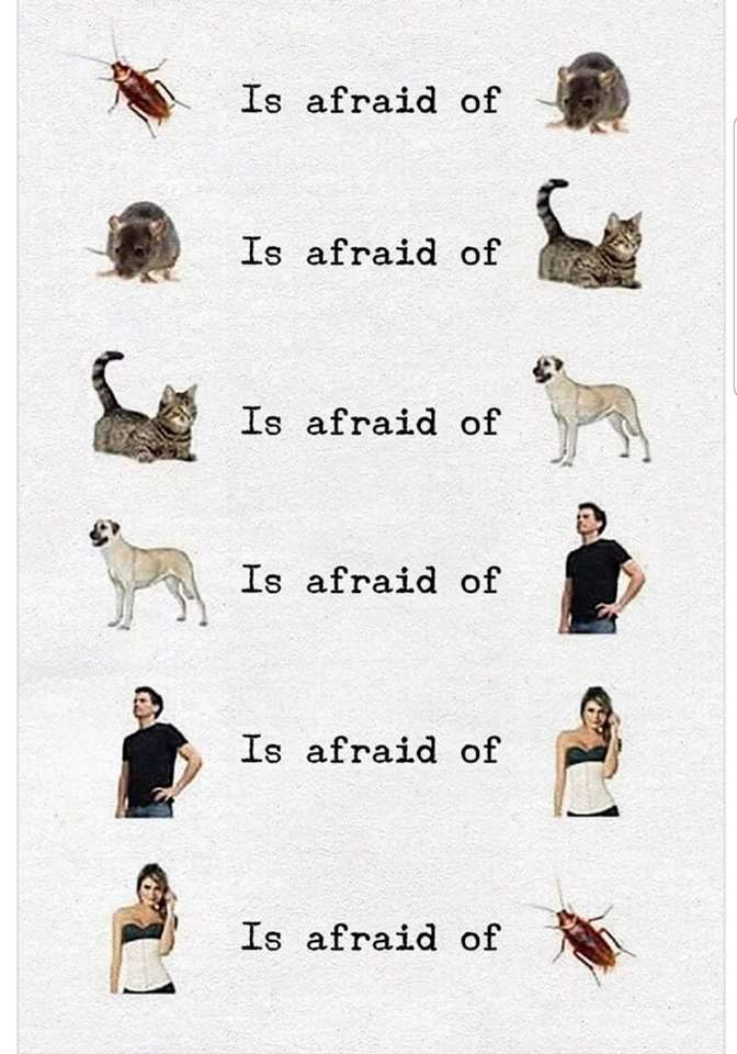 afraid.