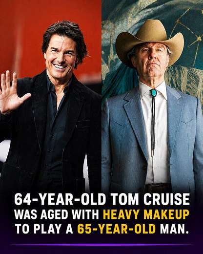 Aged-Cruise.