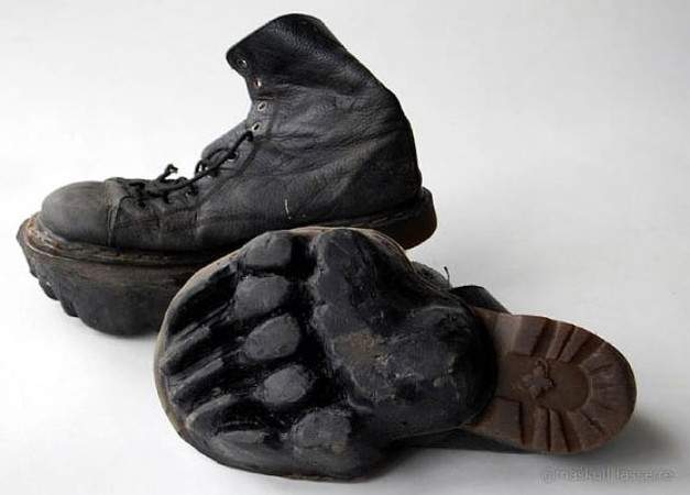 animal-footprint-shoes.