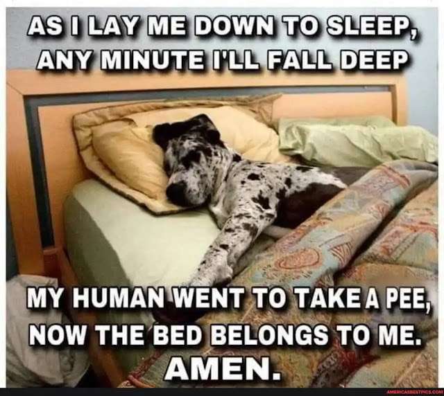 As-I-lay-me-down-to-sleep....