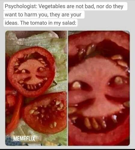 b1449d2f246aaaf150ca065d1af2eca0c1a48c0b_2_449x500.