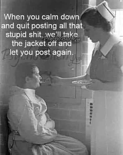 b23e971f893accf848ab8c92a6a733c3504ee6ce_2_396x500.