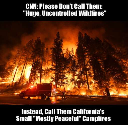 b26e0562fefc16d3d14d5c2e3e378e27e943c57d_2_510x500.