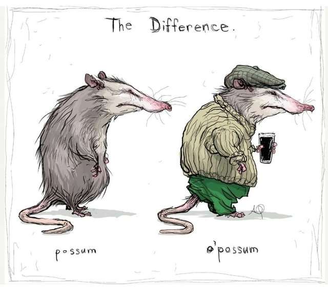 B4-E21-FFF-F9-F2-472-D-8-E63-884-F9965-C648.