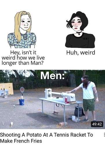 b411786e30d150632120a8c430832656a287d677_2_363x499.