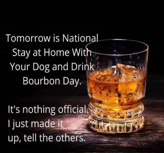 b9b94d1ec93bf29dd5b693f3a71c40207caed448_2_536x500.