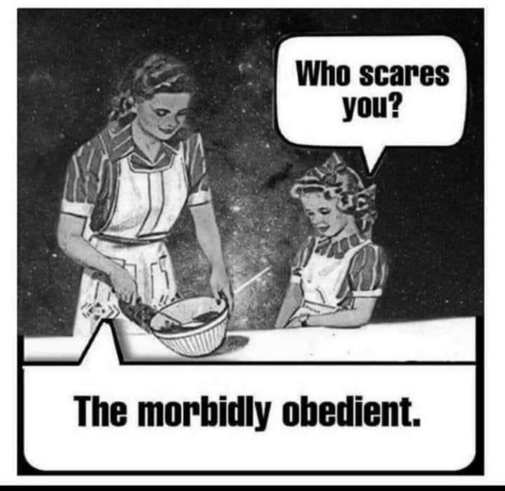 ba7175816aa2ab48-1024x995.