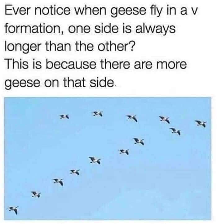 ba9c544e1e3e84d3e0f0554d730cbeb028956cc8.