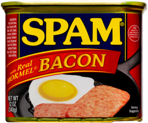 Bacon-SPAM-300x251.