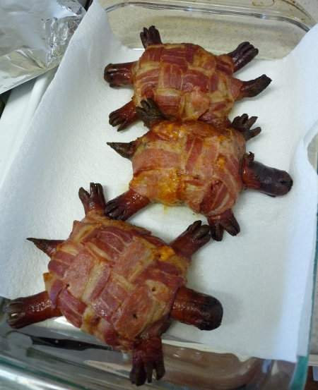 bacon-turtles-1.