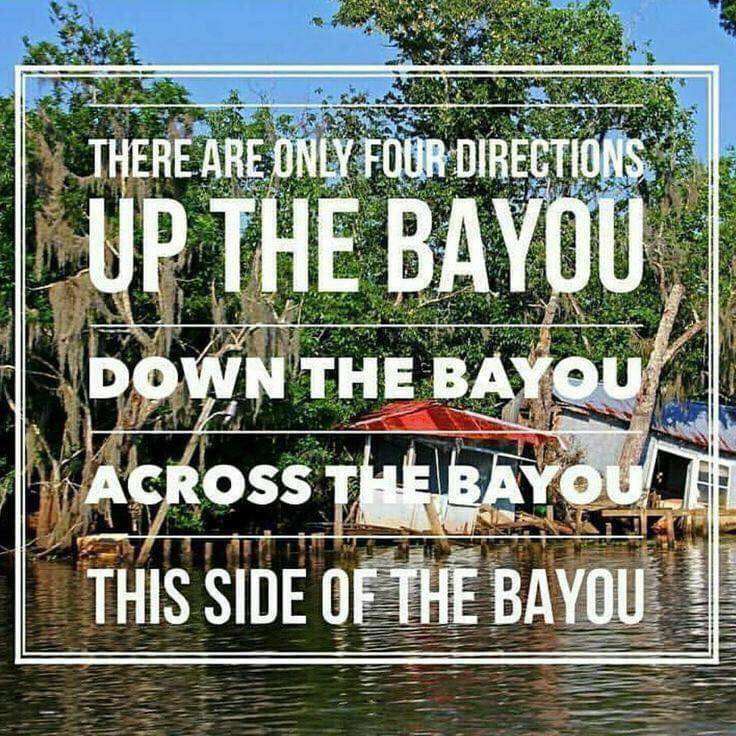 bayou.