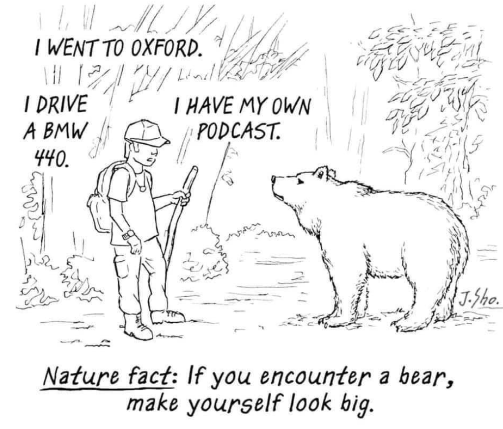bear.