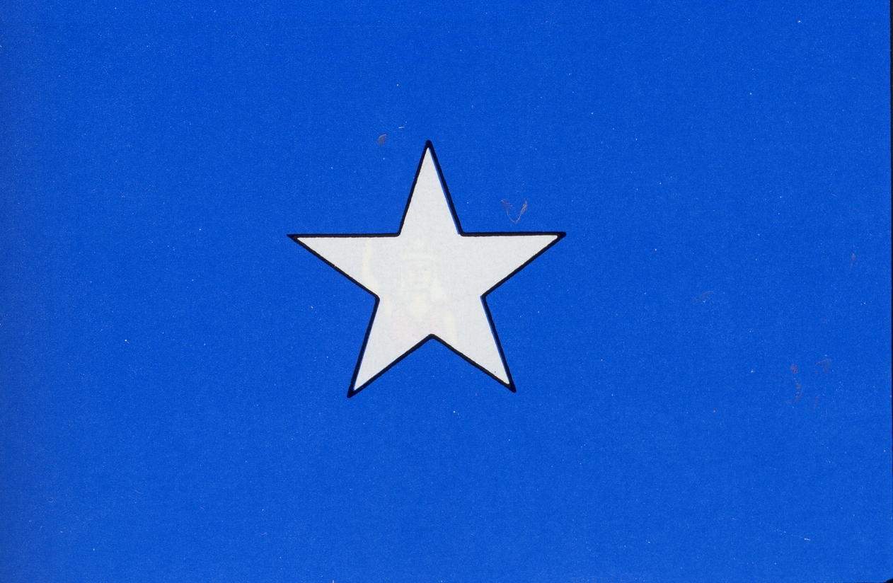 Bonnie Blue Flag.