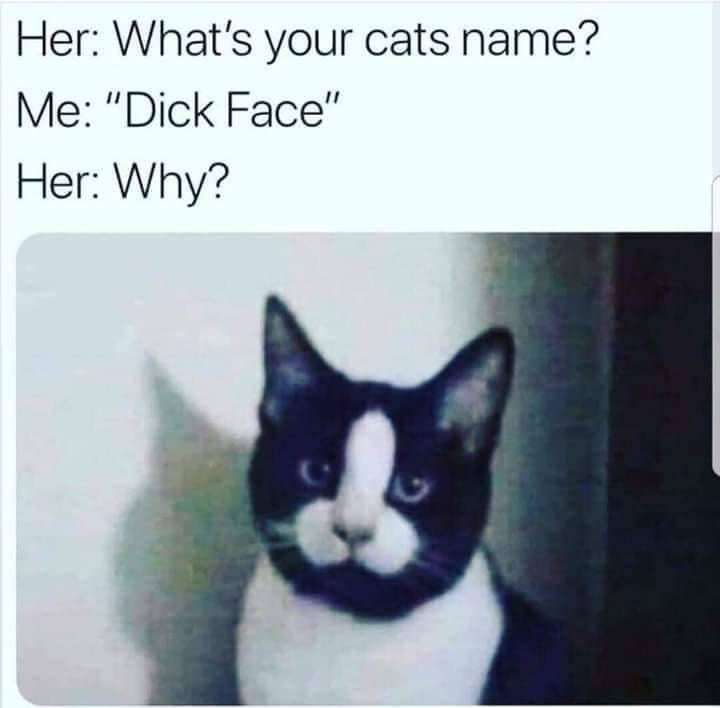 but-why-do-you-call-him-dickface-v0-714lbjtmrxlc1.