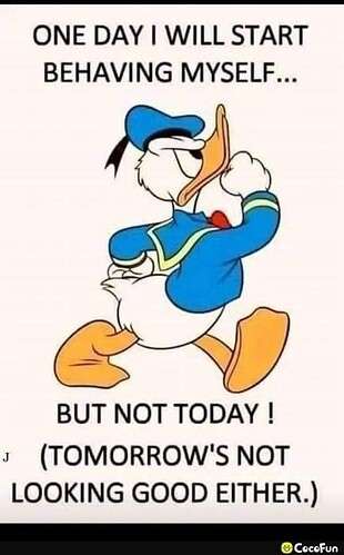 c09d1a130772272c7269ac0c0d4455c64f9ef92d_2_310x499.