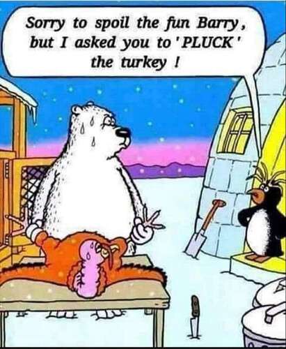 c1f8d537fc912ca79611ff1c2f425b13698499b3_2_411x500.