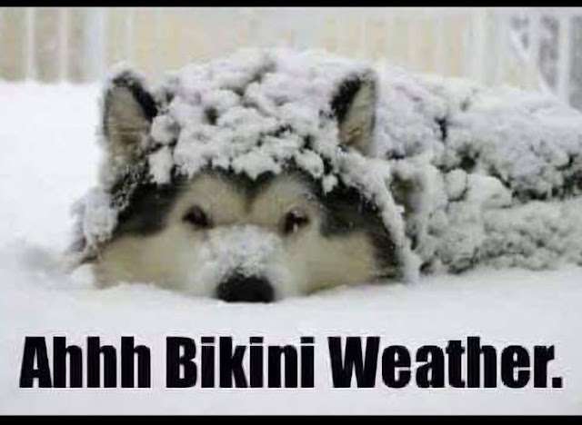 c35a40078bf52be5ff9700392db58104.