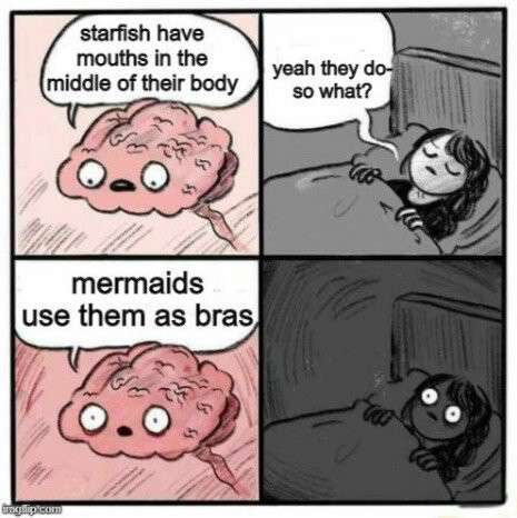 c76ef60a7441a1ac1d27dac30c1d37363a9e082c.