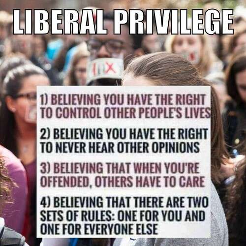 c7de8e526d20b10a2c77dda7146c355dc94d0f37_2_500x500.