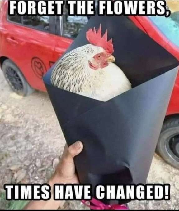 C9CB6757-8845-4B76-85E2-531F7307E1E3.