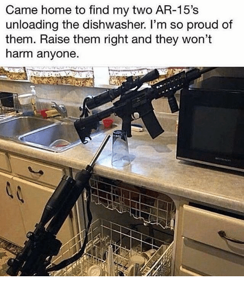 came-home-to-find-my-two-ar-15s-unloading-the-dishwasher-41848427.