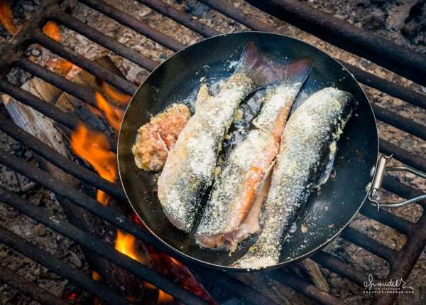 campfire-cooked-brook-trout-920-168-679-600x429.