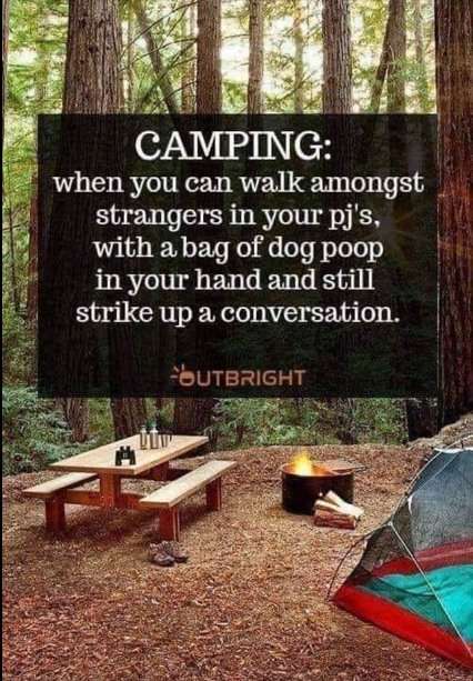 Camping-Dog-poop.