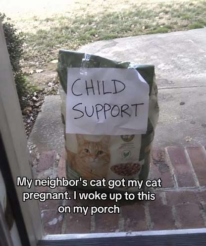 Cat-child-support.