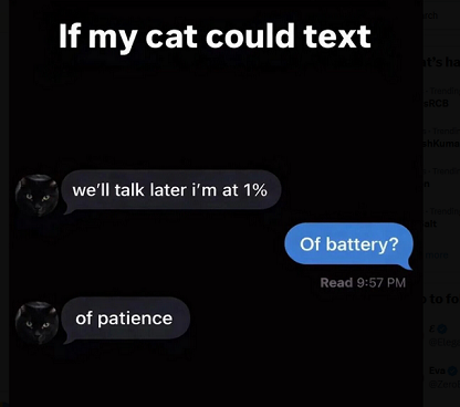 Cat-texting.