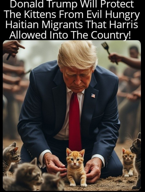 cats1.