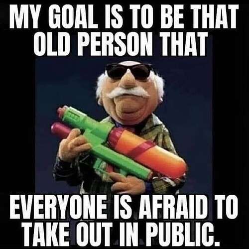 cc1b70db5a9bdb4b1d43ef21f90bccfa00640b4f_2_500x500.