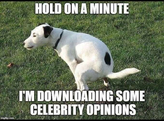 Celebrity Download.