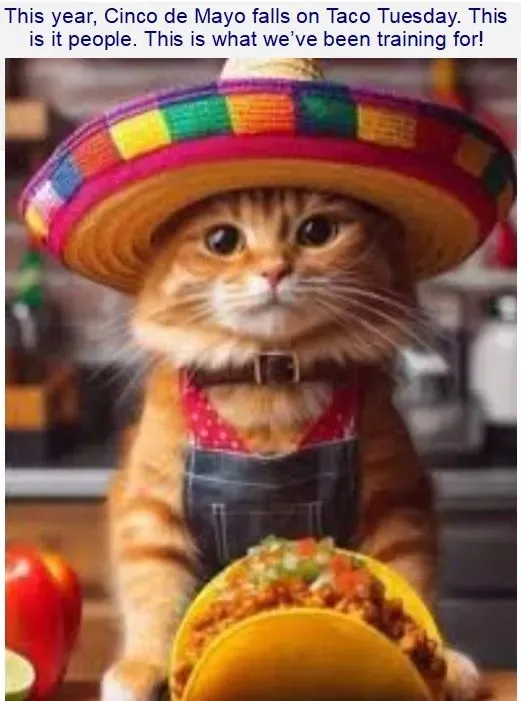 Cinco-de-mayo.