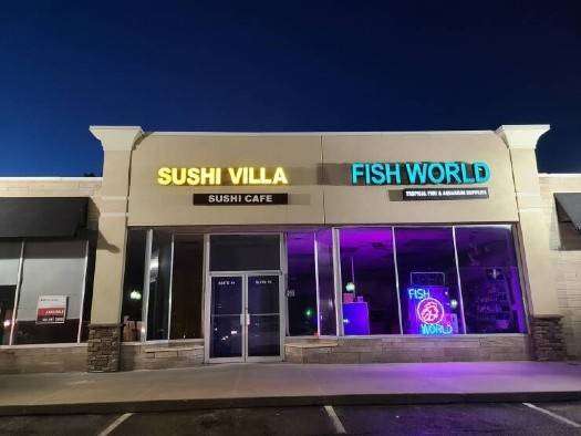 coincidence-2969020.