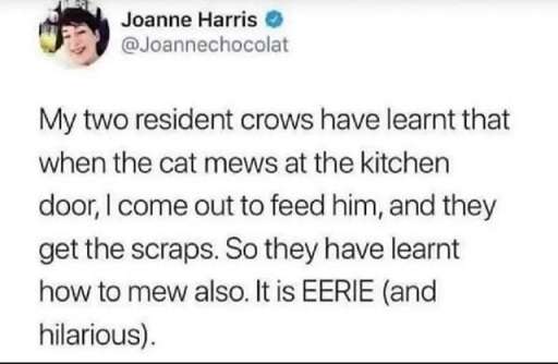 Crows-learned.