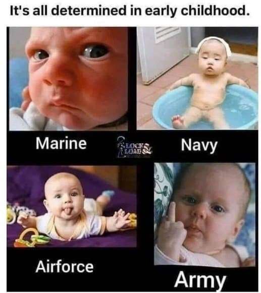 d50c288a0e794bb10e3131f7b555fc0900090866.