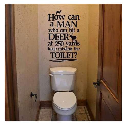 d79c5a1ffba8b5edc0e8a36f41467c9e0be28b9f_2_496x500.